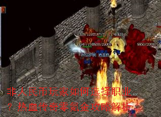 �������������ѡ��ְҵ����Ѫ������봽��Խ���