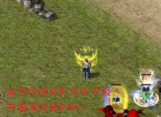 如何快速提升角色等级并击败终极BOSS? 如何快速提升角色等级并击败终极BOSS?