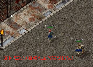 如何应对冰雪毁灭坠的终极挑战? 如何应对冰雪毁灭坠的终极挑战?