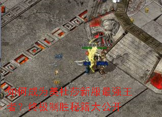 如何成为美杜莎新服最强王者?终极制胜秘籍大公开 如何成为美杜莎新服最强王者?终极制胜秘籍大公开