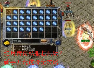 红月传奇私服怎么玩?新手开荒进阶全攻略 红月传奇私服怎么玩?新手开荒进阶全攻略