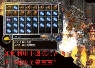 �������С�˼����ٻ���ֻ����ʥ�ޱ�����