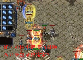 �������С�˼����ٻ���ֻ����ʥ�ޱ�����