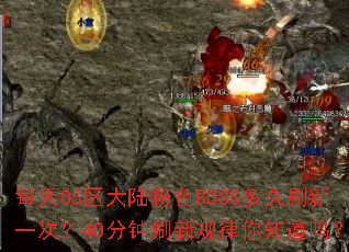 每天05区大陆粉色BOSS多久刷新一次?40分钟刷新规律你知道吗? 每天05区大陆粉色BOSS多久刷新一次?40分钟刷新规律你知道吗?