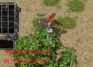 传奇宝宝站新手如何快速提升战力? 传奇宝宝站新手如何快速提升战力?