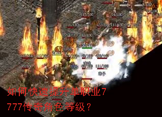 ��ο���������ְҵ7777�����ɫ�ȼ���