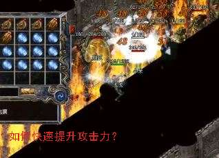 ��ο���������������