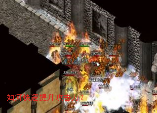 ��ο���������������