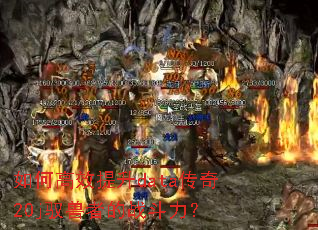 ��θ�Ч����data����20jԦ���ߵ�ս������