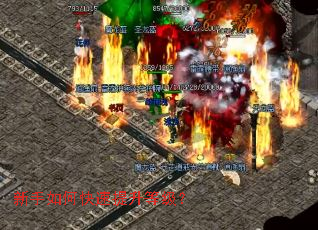 ������ο��������ȼ���