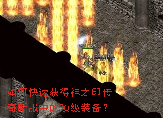 ��ο��ٻ����֮ӡ�����·��еĶ���װ����