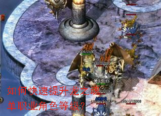 ��ο���������֮�굥ְҵ��ɫ�ȼ���