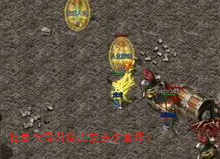 �ӵ�����������Ҫ���ٽ�ң�