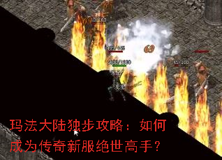 �귨��½�������ԣ���γ�Ϊ�����·��������֣�