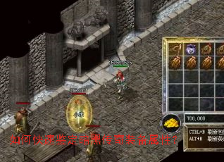 ��ο��ټ������ڴ���װ�����ԣ�