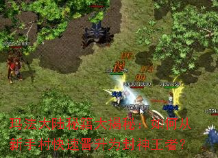 �귨��½�ؼ�����أ���δ����ִ���ٽ���Ϊ�������ߣ�