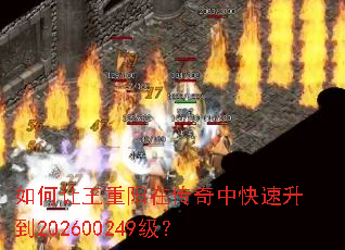 ������������ڴ����п�������202600249����