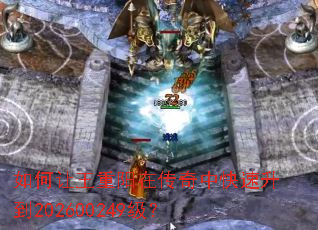 ������������ڴ����п�������202600249����