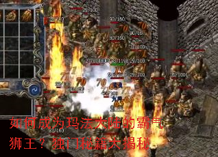 ��γ�Ϊ�귨��½�İ���ʨ���������ؼ������