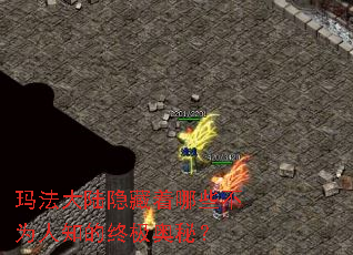 �귨��½��������Щ��Ϊ��֪���ռ����أ�