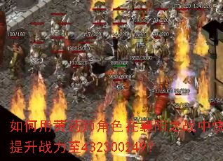 ����û�ҩʦ��ɫ������֮ս�п�������ս����432300249��