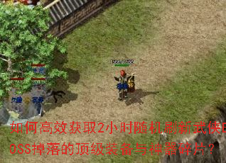 ��θ�Ч��ȡ2Сʱ���ˢ������BOSS����Ķ���װ����������Ƭ��