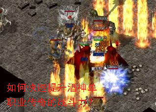 ��ο�����������ְҵ�����ս������