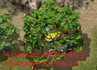 ���ɵ���Ѫ�����·�����������ο��������ȼ���ս������