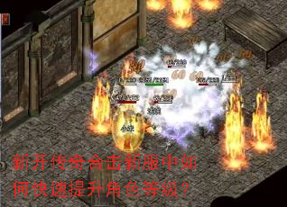 �¿�����ϻ��·�����ο���������ɫ�ȼ���