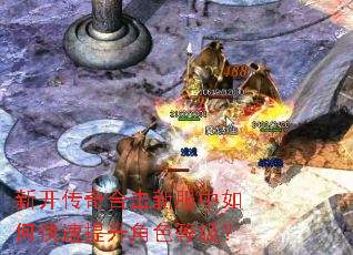 �¿�����ϻ��·�����ο���������ɫ�ȼ���