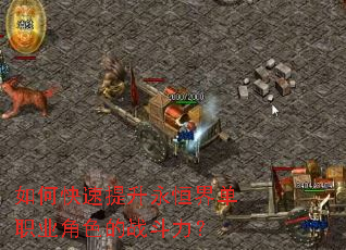 ��ο�����������絥ְҵ��ɫ��ս������