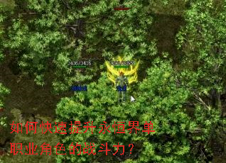 ��ο�����������絥ְҵ��ɫ��ս������