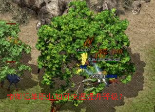 �����ǵ�ְҵ��ο��������ȼ���