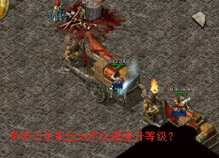 �����ǵ�ְҵ��ο��������ȼ���