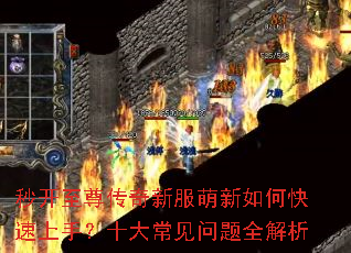 �뿪�������·�������ο������֣�ʮ�󳣼�����ȫ����