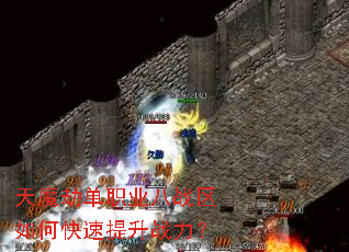 ��ħ�ٵ�ְҵ��ս����ο�������ս����