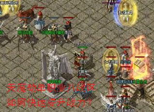 ��ħ�ٵ�ְҵ��ս����ο�������ս����