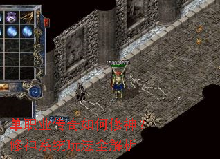 ��ְҵ���������������ϵͳ�淨ȫ����