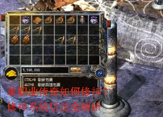 ��ְҵ���������������ϵͳ�淨ȫ����