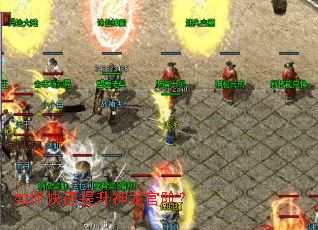 ��ο������������ٽף�