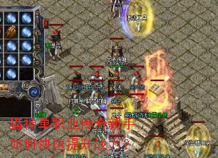 ����ְҵ����������ο�������ս����