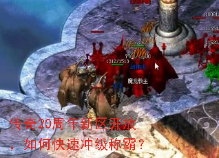 ����20�����������ţ���ο��ٳ弶�ưԣ�