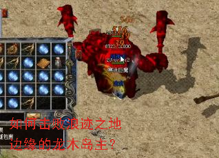 如何击败浪迹之地边缘的龙木岛主? 如何击败浪迹之地边缘的龙木岛主?