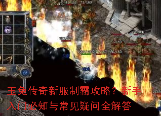 玉兔传奇新服制霸攻略?新手入门必知与常见疑问全解答 玉兔传奇新服制霸攻略?新手入门必知与常见疑问全解答