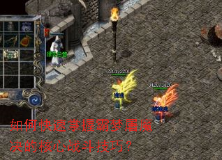 如何快速掌握霸梦屠魔决的核心战斗技巧? 如何快速掌握霸梦屠魔决的核心战斗技巧?
