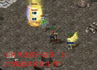 如何快速提升白日门210202梅超风的战斗力? 如何快速提升白日门210202梅超风的战斗力?