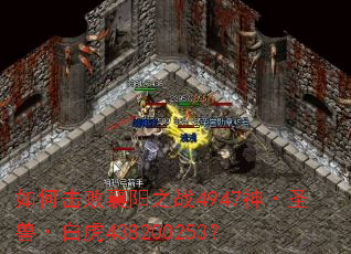 如何击败襄阳之战4947神·圣兽·白虎438200253? 如何击败襄阳之战4947神·圣兽·白虎438200253?