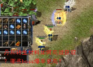 丹和转生材料如何高效获取?哪些boss爆率更高? 丹和转生材料如何高效获取?哪些boss爆率更高?