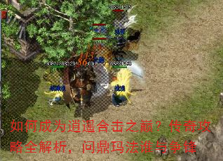 如何成为逍遥合击之巅?传奇攻略全解析,问鼎玛法谁与争锋 如何成为逍遥合击之巅?传奇攻略全解析,问鼎玛法谁与争锋
