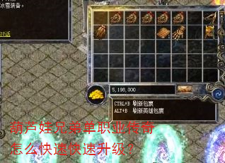 葫芦娃兄弟单职业传奇怎么快速快速升级? 葫芦娃兄弟单职业传奇怎么快速快速升级?
